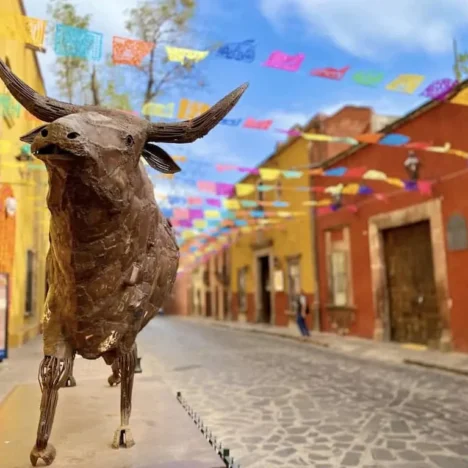 Cartagena on $50 a Day: A Soulful Solo Escape for the Budget-Savvy Traveler