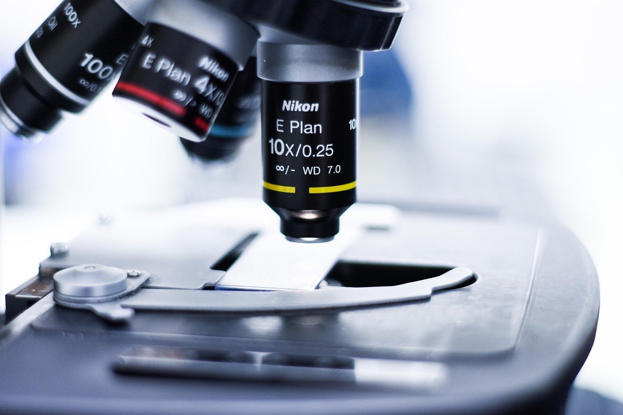 The Ultimate Medical Lab Tech Guide to Conquering New York City